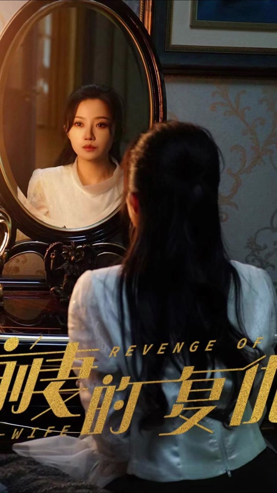 前妻的復仇