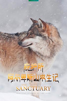 庇護(hù)所：阿爾卑斯山求生記[電影解說(shuō)]