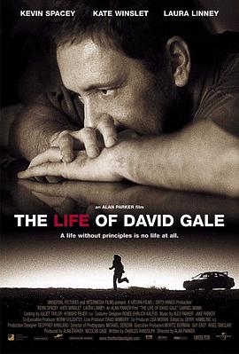 大衛(wèi)·戈?duì)柕囊簧?The Life of David Gale[電影解說]