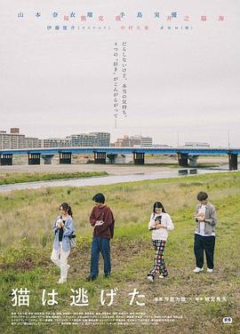 貓貓?zhí)幼吡?>
<div id=