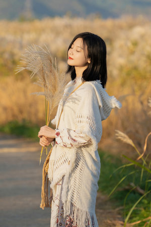 挡不住的风情 任达华